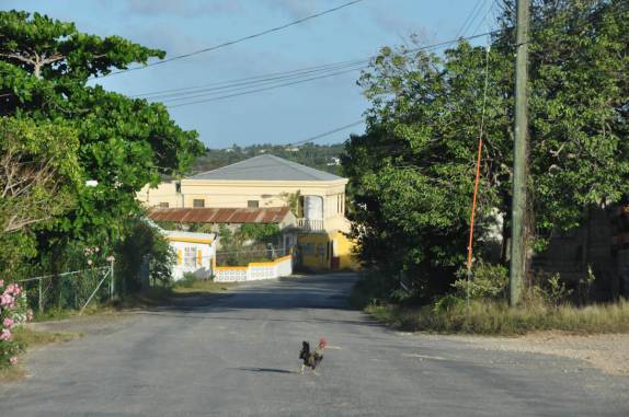 Trânsito movimentado em The Valley, capital de Anguilla